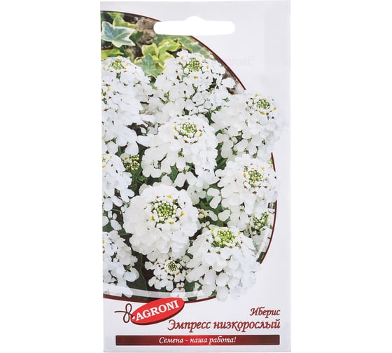 Семена Агрони Иберис горький ЭМПРЕСС НИЗКОРОСЛЫЙ 7927 1