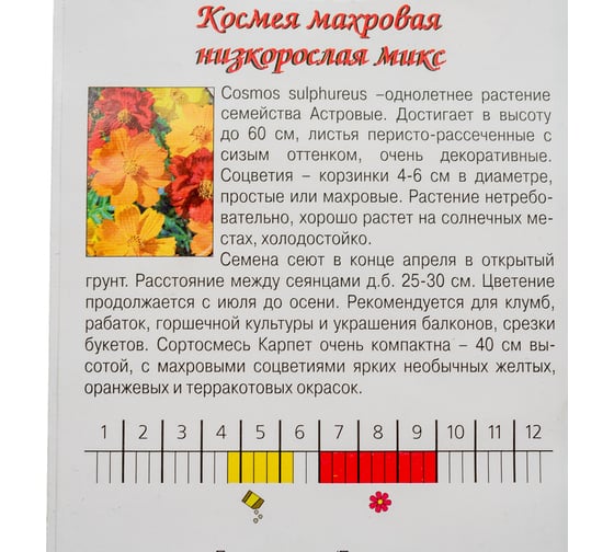Семена Агрони Космея махровая НИЗКОРОСЛАЯ КАРПЕТ МИКС 7873