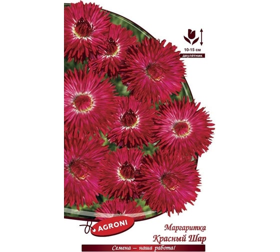 Семена Агрони Маргаритка КРАСНЫЙ ШАР 8221
