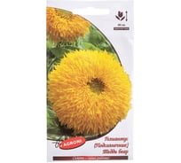 Семена Агрони Подсолнечник гелиантус ТЕДДИ БЕАР 5565