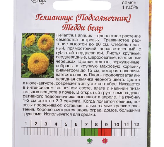 Семена Агрони Подсолнечник гелиантус ТЕДДИ БЕАР 5565
