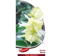 Семена Агрони Сальвия БЕЛАЯ 3233