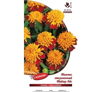 Семена Агрони Тагетес отклоненный бархатцы ТАЙГЕР АЙС 2103