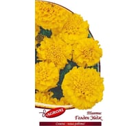 Семена Агрони Тагетес прямостоячий бархатцы ГОЛДЕН ЭЙДЖ 5497