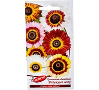 Семена Агрони Хризантема РАДУЖНЫЙ МИКС 2915