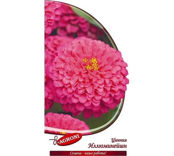Семена Агрони Цинния георгиноцветная ИЛЛЮМИНЕЙШН 8139