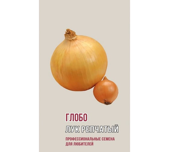 Семена Агрони Лук репчатый ГЛОБО 1267