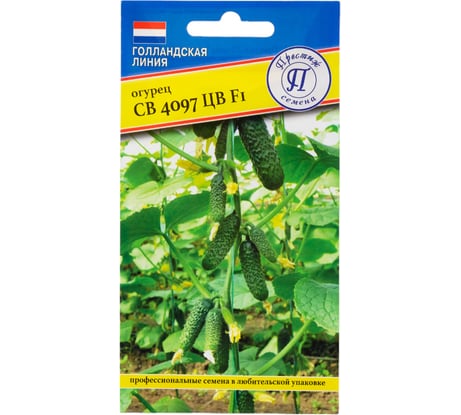 Семена Престиж-Семена Огурец СВ 4097 ЦВ F1 00028726