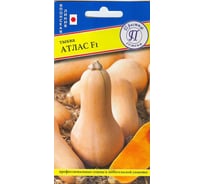 Семена Престиж-Семена Тыква Атлас F1 00024664