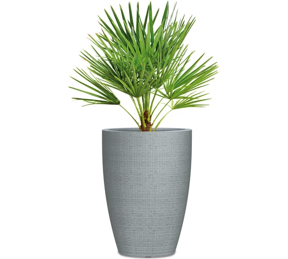 Пластиковый горшок Scheurich Barceo High Stony Grey 299 29х40 см, серый 63211