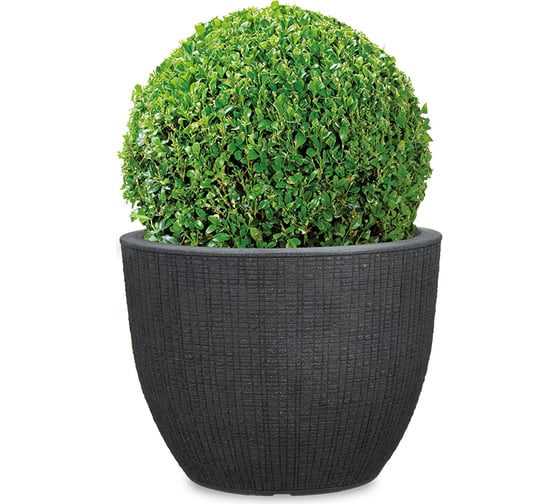 Пластиковый горшок Scheurich Barceo Stony Black 295 30х22 см, черный 63202