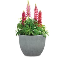 Пластиковый горшок Scheurich Barceo Stony Grey 295 40х30 см, серый 63203