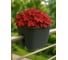 Горшок цветочный Prosperplast Ratolla Square 280, антрацит DRLB280-S433 1