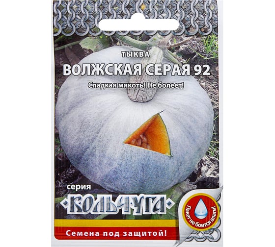 Семена РУССКИЙ ОГОРОД Тыква Волжская серая 92 Кольчуга NEW 1 г Е04208