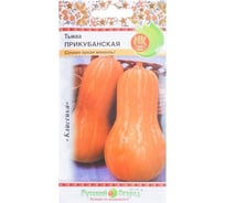 Семена РУССКИЙ ОГОРОД Тыква Прикубанская 2 г 304219