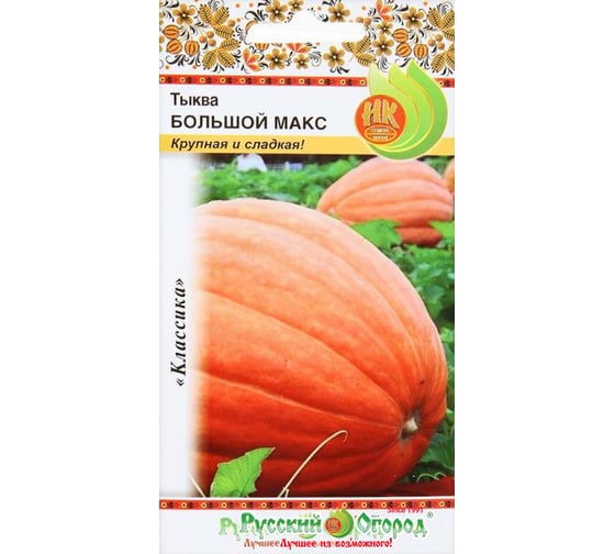 Семена РУССКИЙ ОГОРОД Тыква Большой Макс 1 г 304200 1