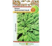 Семена РУССКИЙ ОГОРОД Шпинат Жирнолистный 2 г 307509
