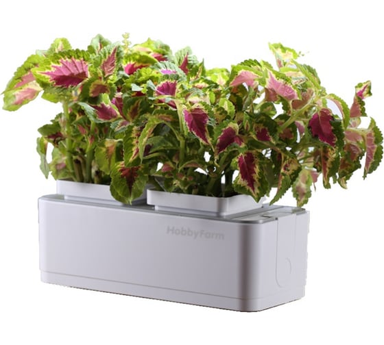 Гидропонная установка HobbyFarm Mini DQ1200