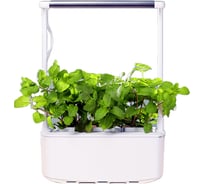 Гидропонная установка с фитолампой HobbyFarm Mini 3 ячейки DQ6200-LA