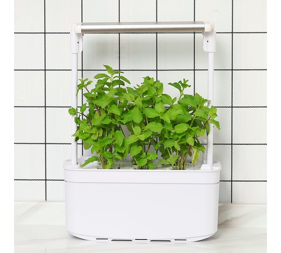 Гидропонная установка с фитолампой HobbyFarm Mini 6 ячеек DQ6200-LB-6