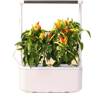 Гидропонная установка с фитолампой HobbyFarm Mini 2 ячейки DQ6200-LB-2