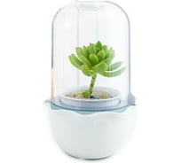 Гидропонная установка для суккулентов и мхов HobbyFarm DQ3100