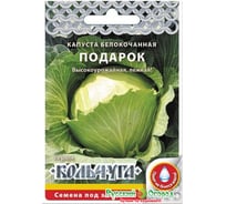 Семена РУССКИЙ ОГОРОД Капуста белокочанная Подарок Кольчуга 0.5 г Е01034
