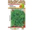 Семена РУССКИЙ ОГОРОД Кервель Ароматный 0.5 г 309355 1