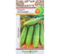 Семена РУССКИЙ ОГОРОД Огурец Кассандра F1 8 шт. 301739