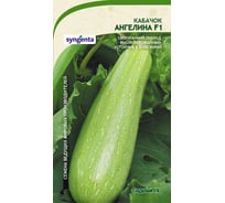 Семена САДОВИТА Кабачок Ангелина F1 5 семечек 00132343