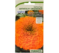 Семена САДОВИТА Бархатцы Антигуа F1 Оранжевые 5 семечек 00161770