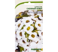 Семена САДОВИТА Алиссум Снежный ковер 0.3 г 00160701