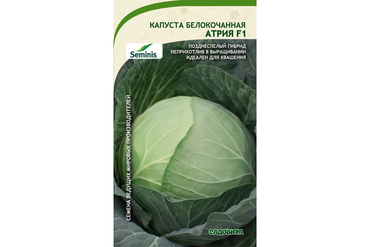 Капуста атрия отзывы фото Семена САДОВИТА Капуста Атрия белокочанная F1 10 семечек 00140097 - выгодная цен