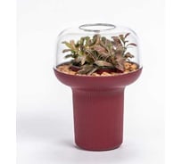 Кашпо Scheurich Гумидарий Humidarium d19см h20см 0.7л красное вино 073528