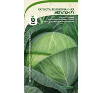 Семена САДОВИТА Капуста Мегатон белокочанная F1 10 семечек 00140104
