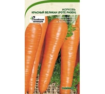 Семена САДОВИТА Морковь Красный великан Роте Ризен 2 г 00183560
