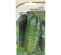 Семена САДОВИТА Огурец Пасамонте F1 5 семечек 00160687