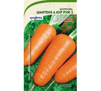 Семена САДОВИТА Морковь Шантенэ А Кур Руж 2 0.5 г 00132378