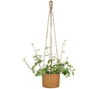 Кашпо плетеное с подвесом Scheurich Nut d15см натуральный h14cm 073642