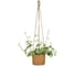 Кашпо плетеное с подвесом Scheurich Nut d15см натуральный h14cm 073642 1