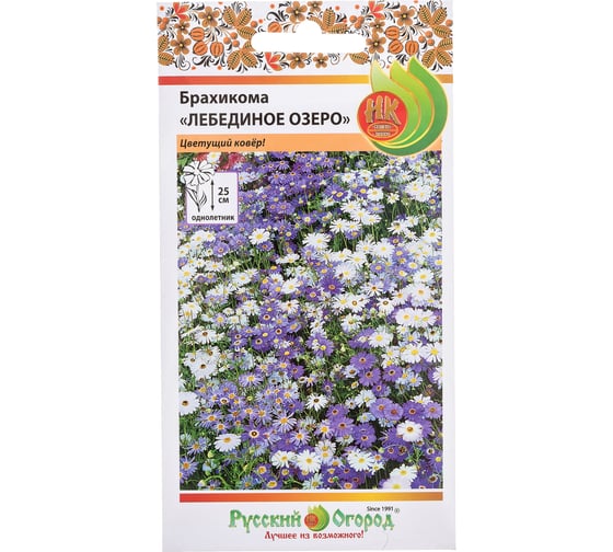 Семена РУССКИЙ ОГОРОД Цветы Брахикома Лебединое озеро 0.1 г 702190 1
