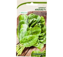 Семена САДОВИТА Шпинат Аполло F1 1 г 00192684