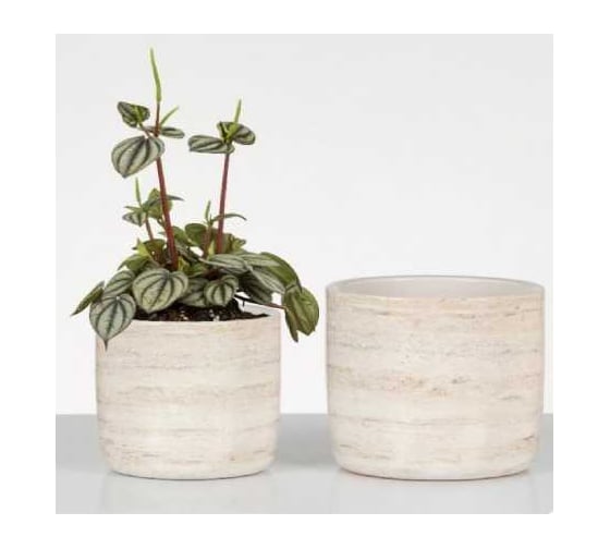 Кашпо керамика Scheurich Botticino d13см, бежевый, h12cm 073623 1
