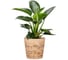Кашпо керамика Scheurich Cork d19см, h18cm 073607 1