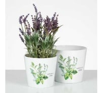 Кашпо керамика Scheurich Mediterranean d16см, h15см 073616