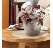 Кашпо Scheurich керамика Washed Brown d13см коричневый h12cm 073632