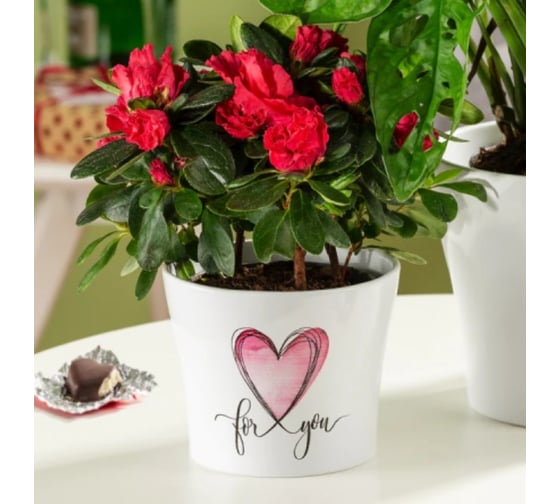 Кашпо Scheurich керамика With Love d13см с любовью h12cm 073621 1