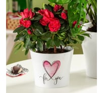 Кашпо Scheurich керамика With Love d15см с любовью h14cm 073622