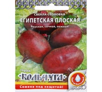 Семена РУССКИЙ ОГОРОД Свекла Египетская плоская Кольчуга 3 г Е09032
