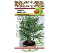 Семена РУССКИЙ ОГОРОД Цветы Пальма Хамеропс 2 шт. 733565
